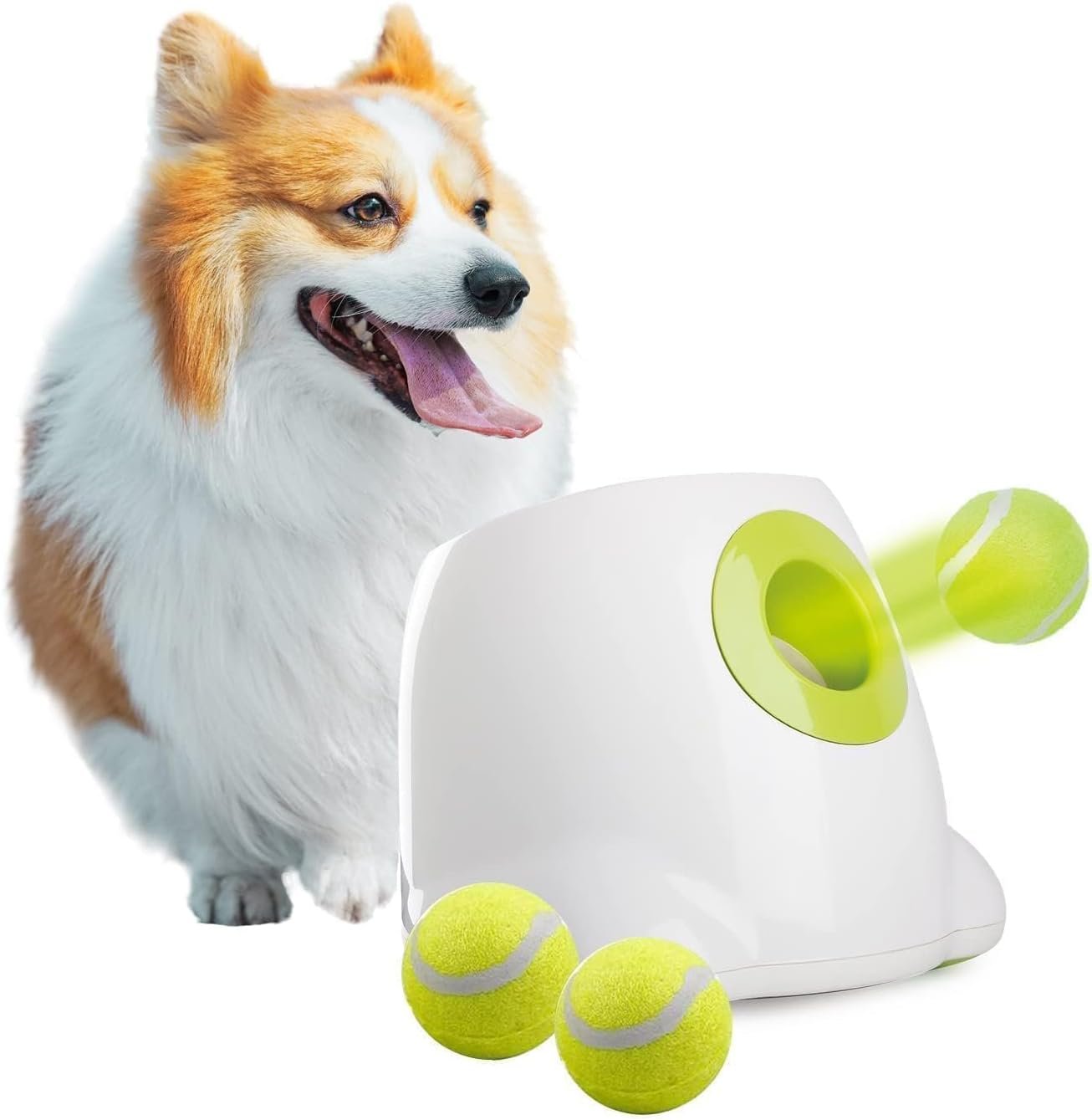 Best automatic ball launcher: the All For Paws mini launcher with a corgi and three small tennis balls