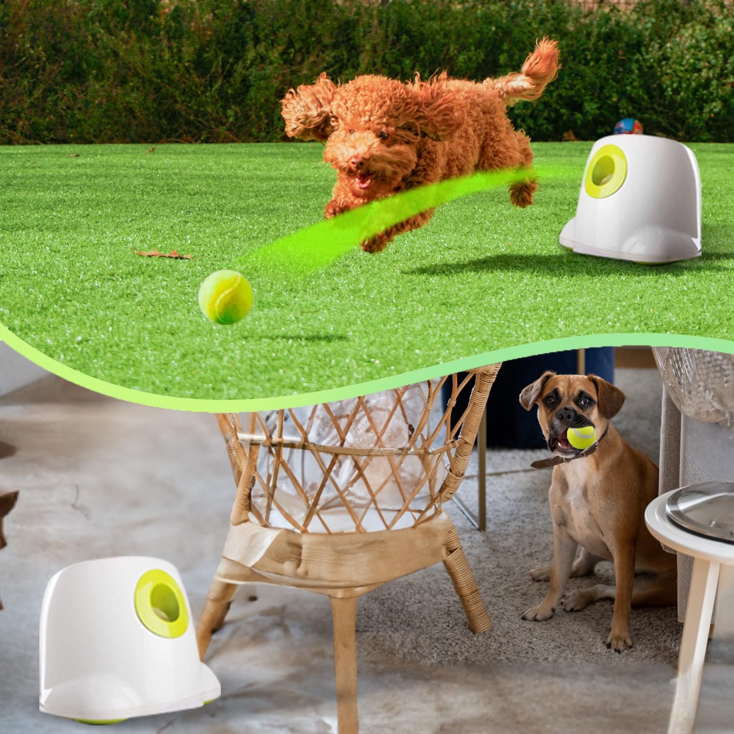 All For Paws ball launcher review: the launcher used outdoors on grass and indoors on a hard floor