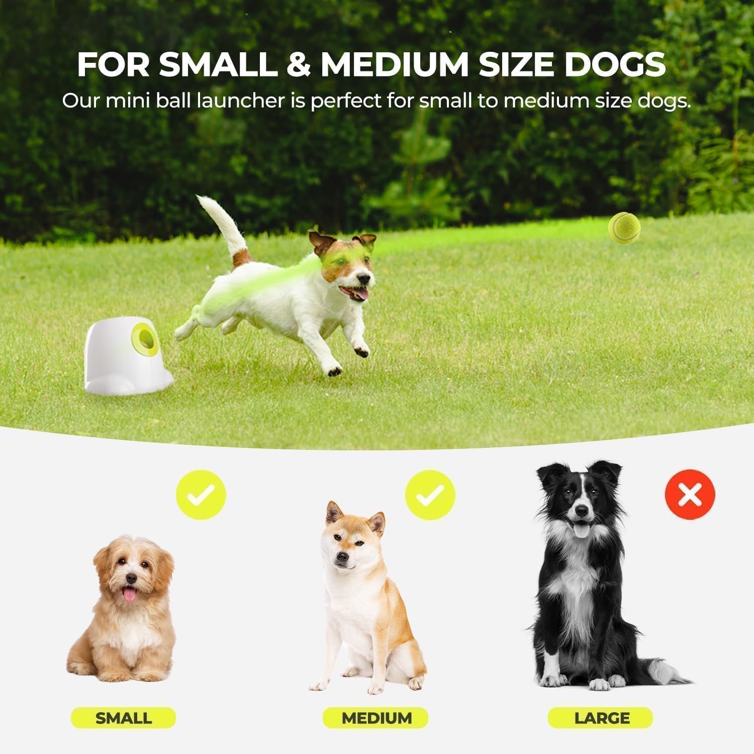 All For Paws ball launcher review: the listing's size guide - small and medium dogs yes, large dogs no