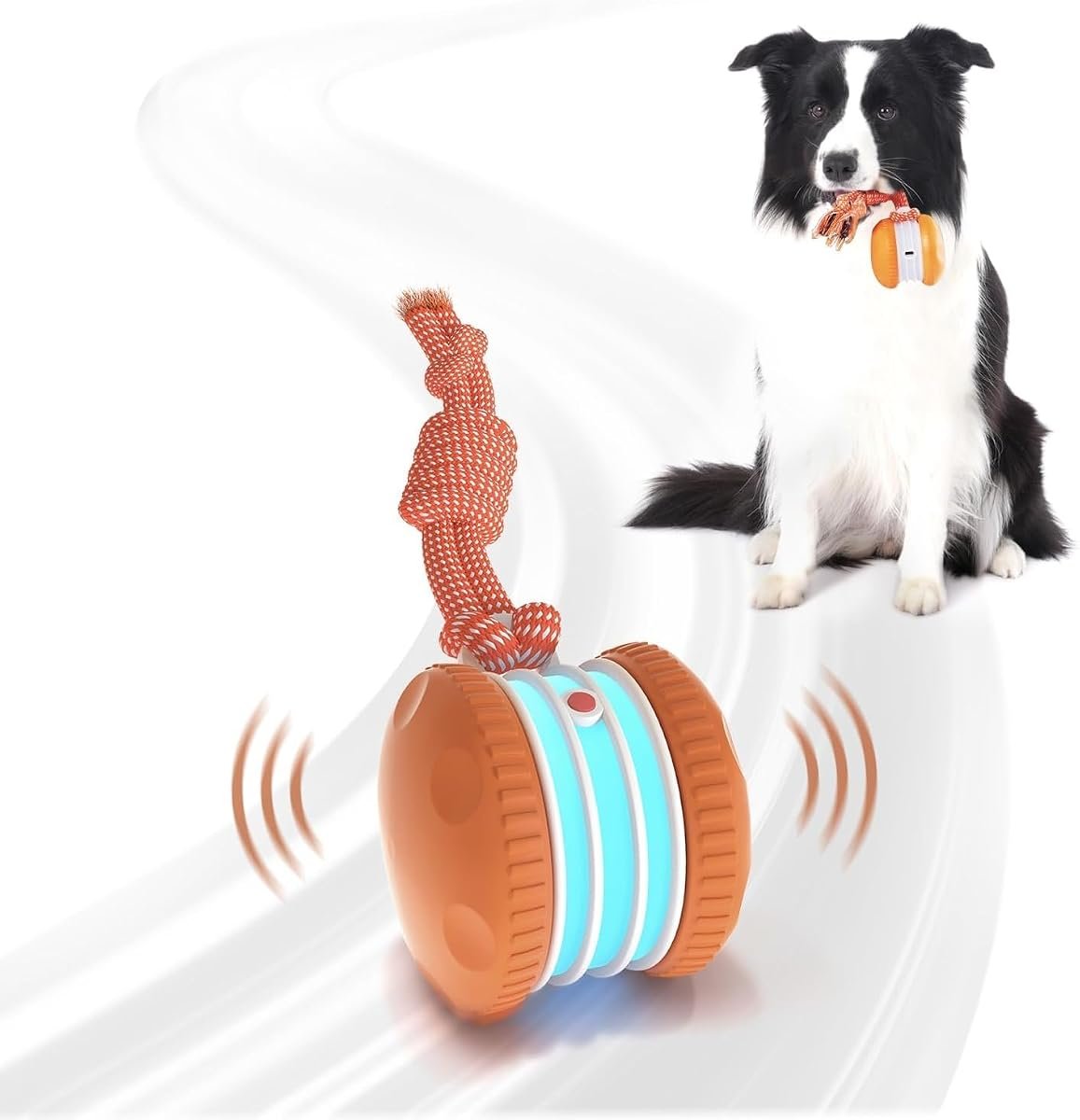 QGI interactive dog ball with rope, main product image