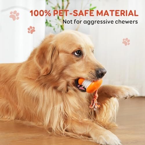 Interactive dog ball review: the listing states it is not for aggressive chewers