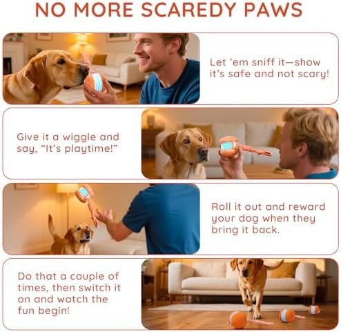 Interactive dog toy problems: a listing's own four-step guide for introducing the toy to a nervous dog