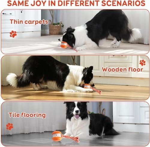 Best interactive dog toy: the rope ball on thin carpet, wood and tile