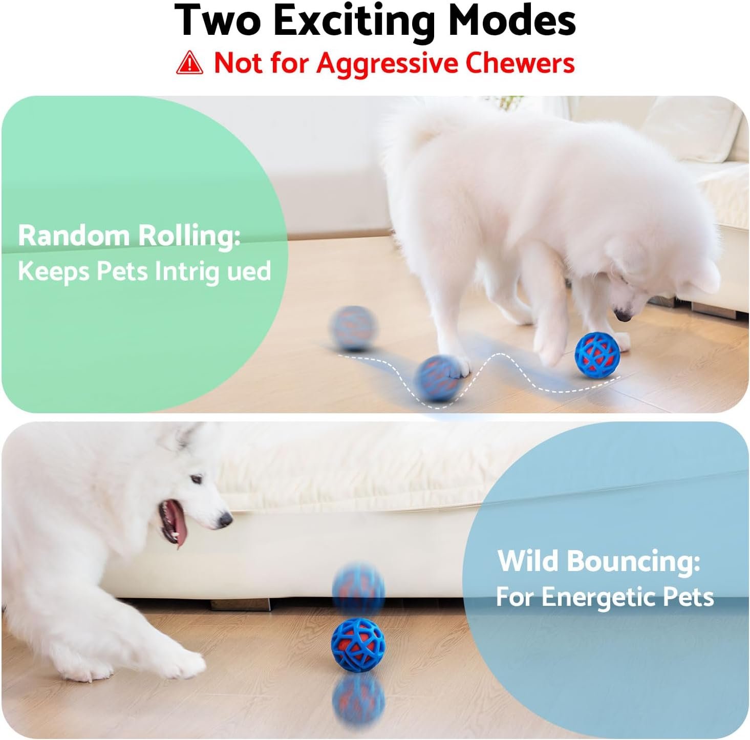 Vibrating dog ball review: rolling mode and bouncing mode, with the chewer warning in the header