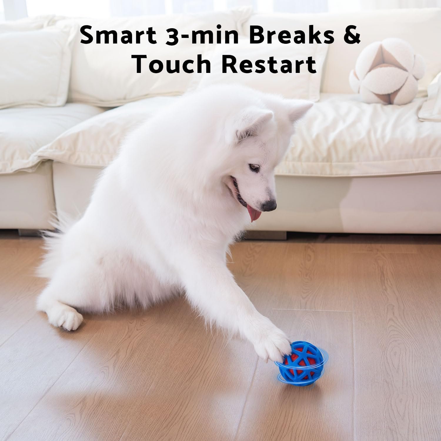 Best interactive dog toy: the rubber-cage ball being pawed on a hardwood floor