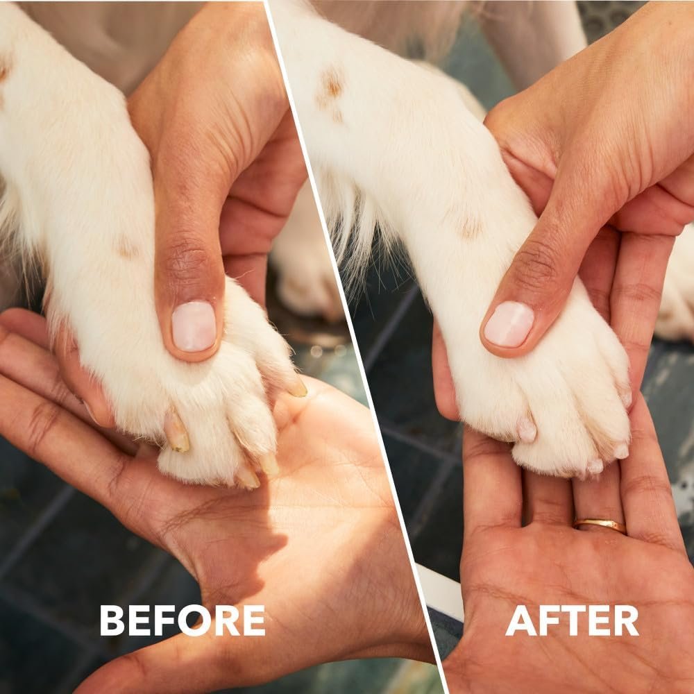 Dremel PawControl review: listing image of a dog's paw before and after grinding