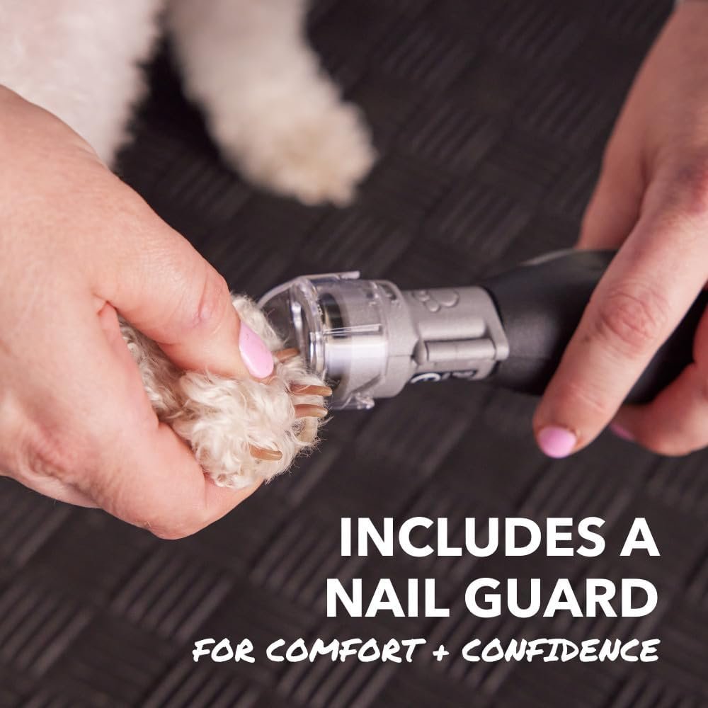 Dremel PawControl review: listing image of the clear nail guard over a dog's nail