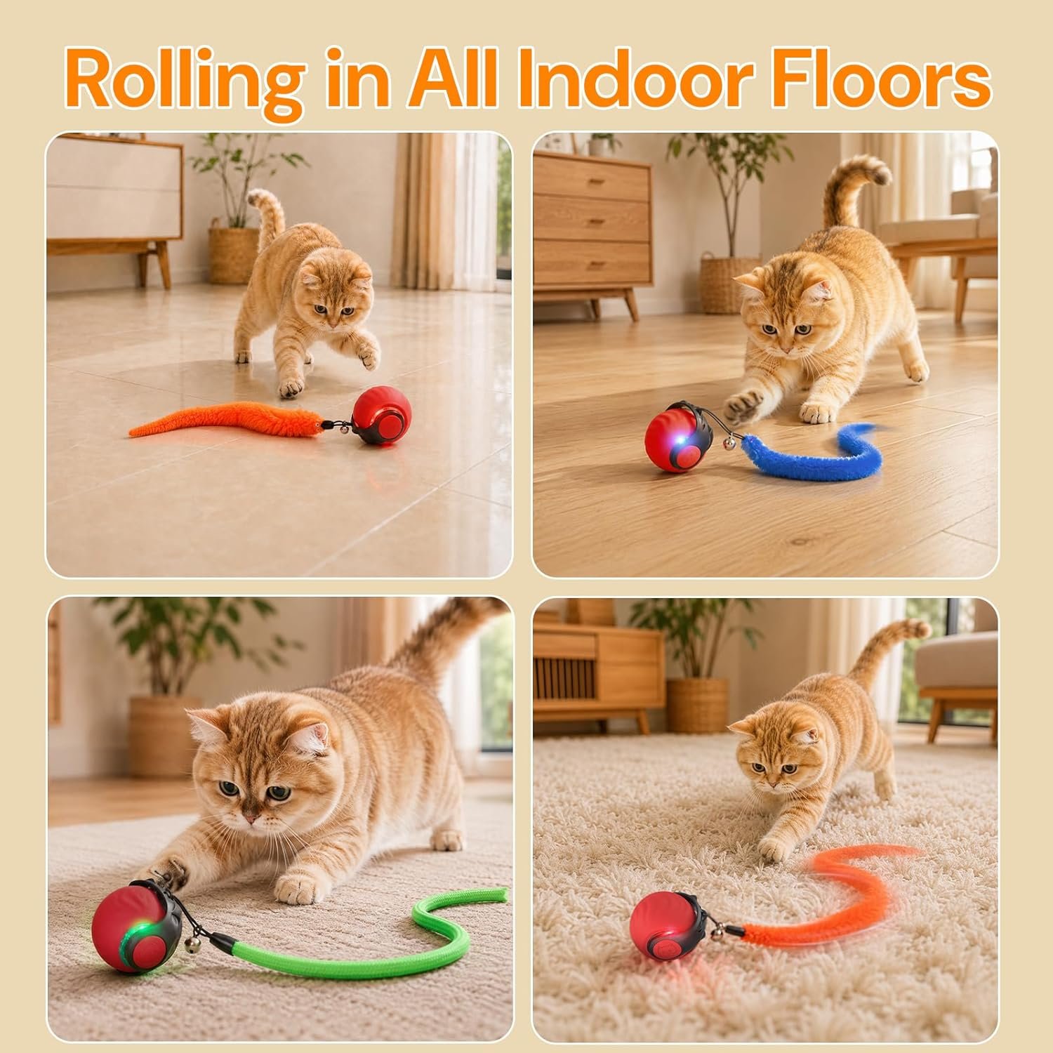 Interactive cat ball reviews: Geamen listing images of cats chasing the ball on wood floors and rugs